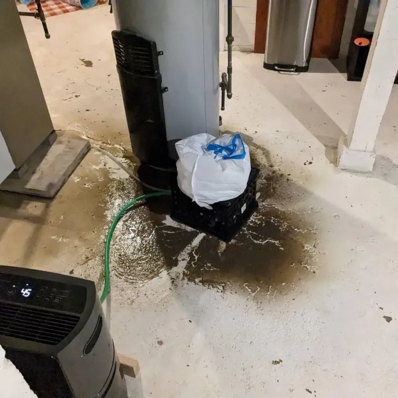 Sewage Backup Cleanup Service in Grape Creek, TX